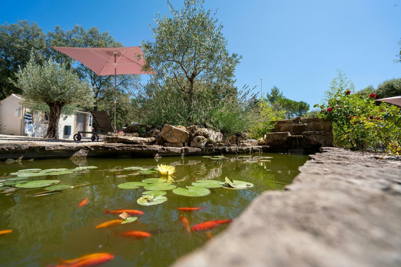 Mas la Chêneraie Lourmarin - Au calme, à 10 mn du centre ville à pied Exterior foto